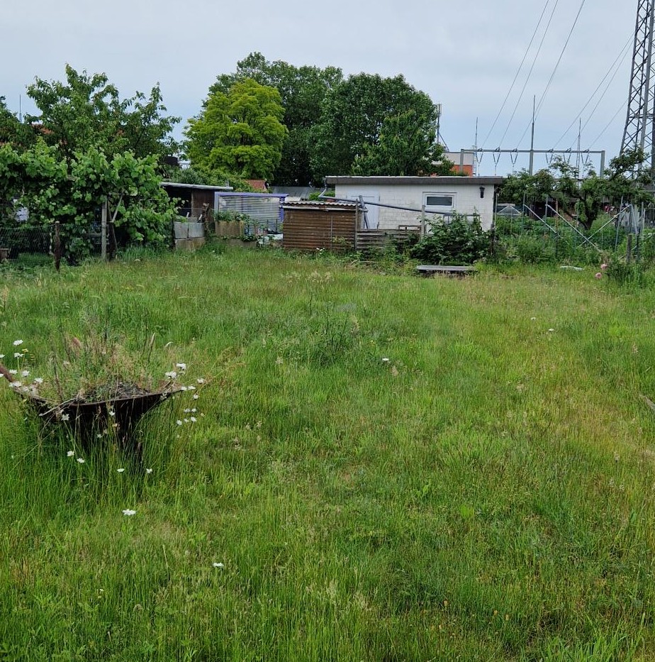 Garten80 Freie Gärten